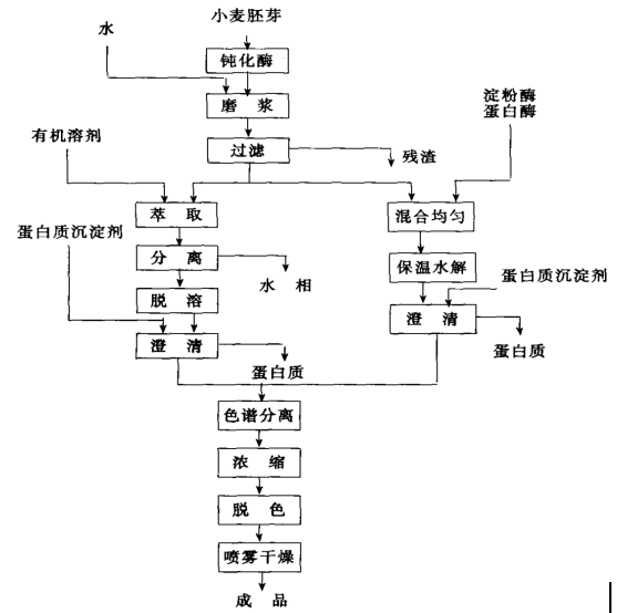 谷胱甘肽的制备与用途